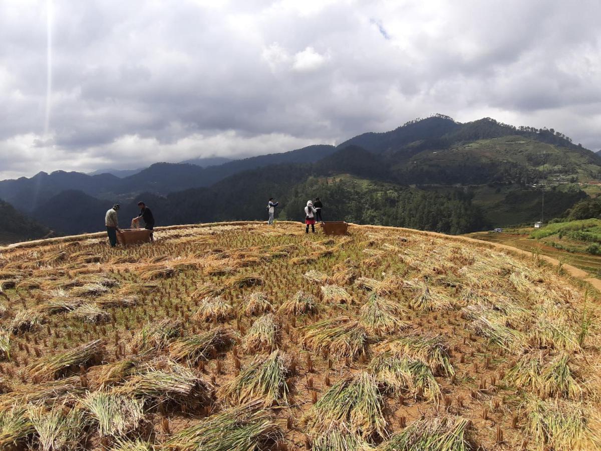 Indigenous Homestay- Trek- Food- Bus Homestay *