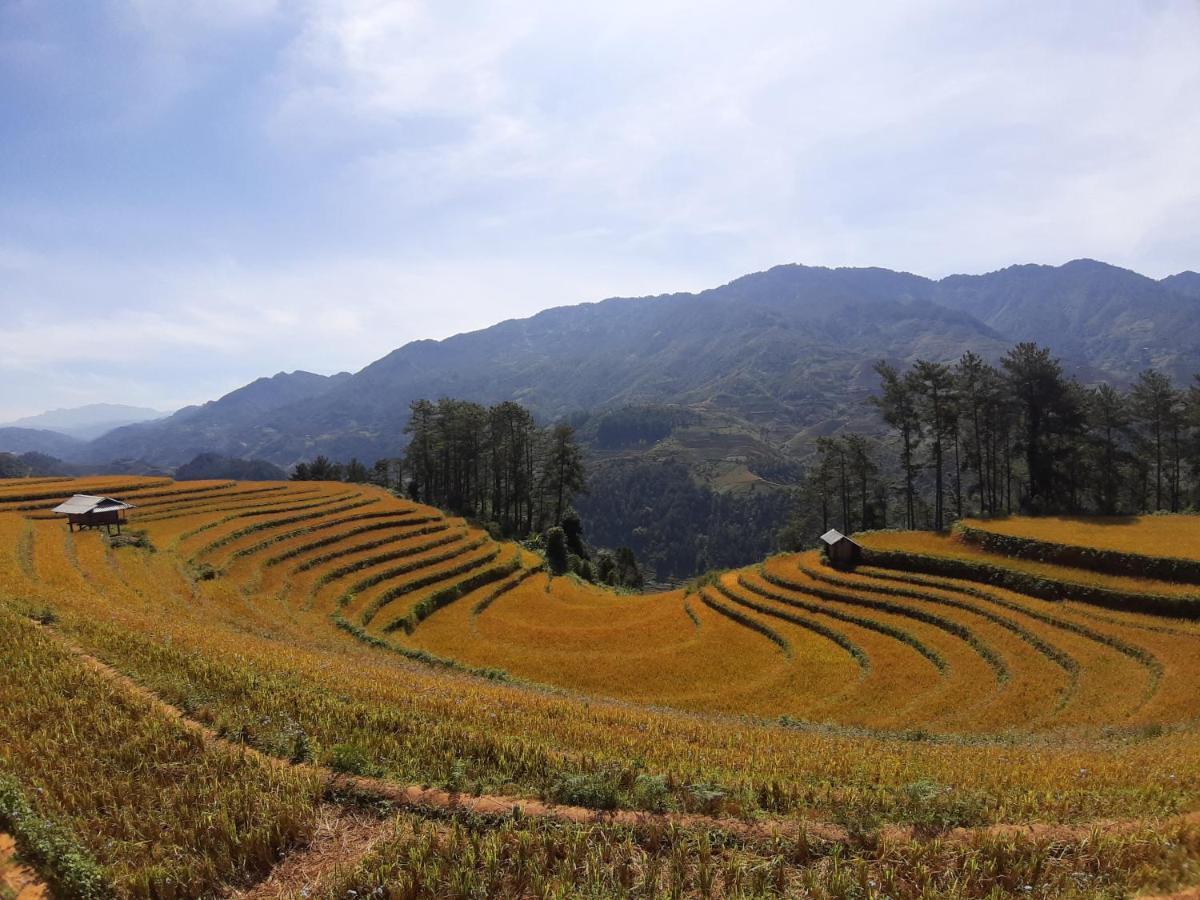 Indigenous Homestay- Trek- Food- Bus