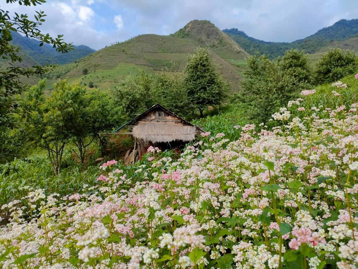 Indigenous Homestay- Trek- Food- Bus * Mu Cang Chai