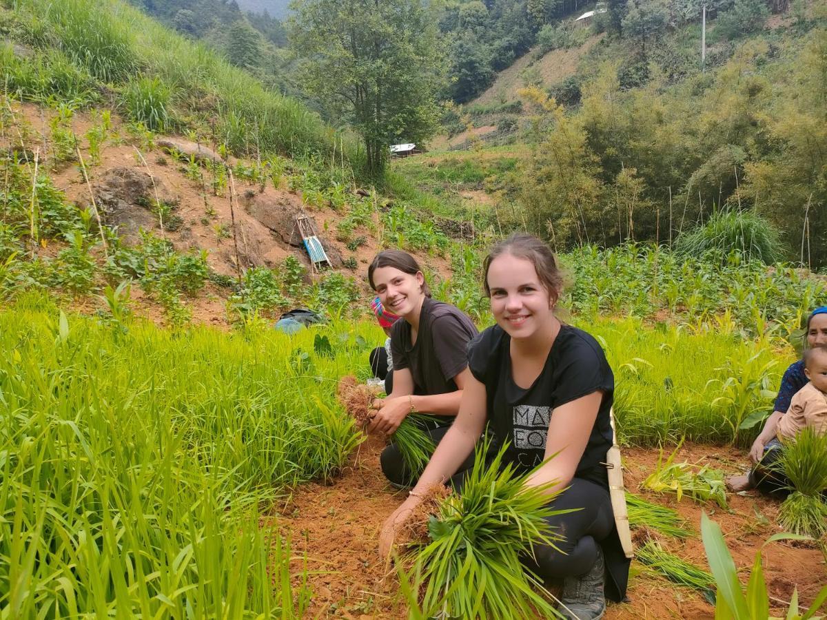 Homestay Indigenous Homestay- Trek- Food- Bus *