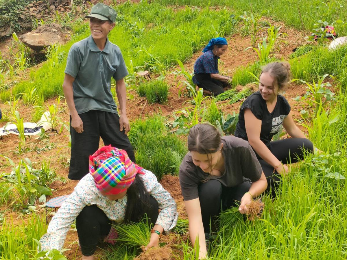 Homestay Indigenous Homestay- Trek- Food- Bus Mu Cang Chai