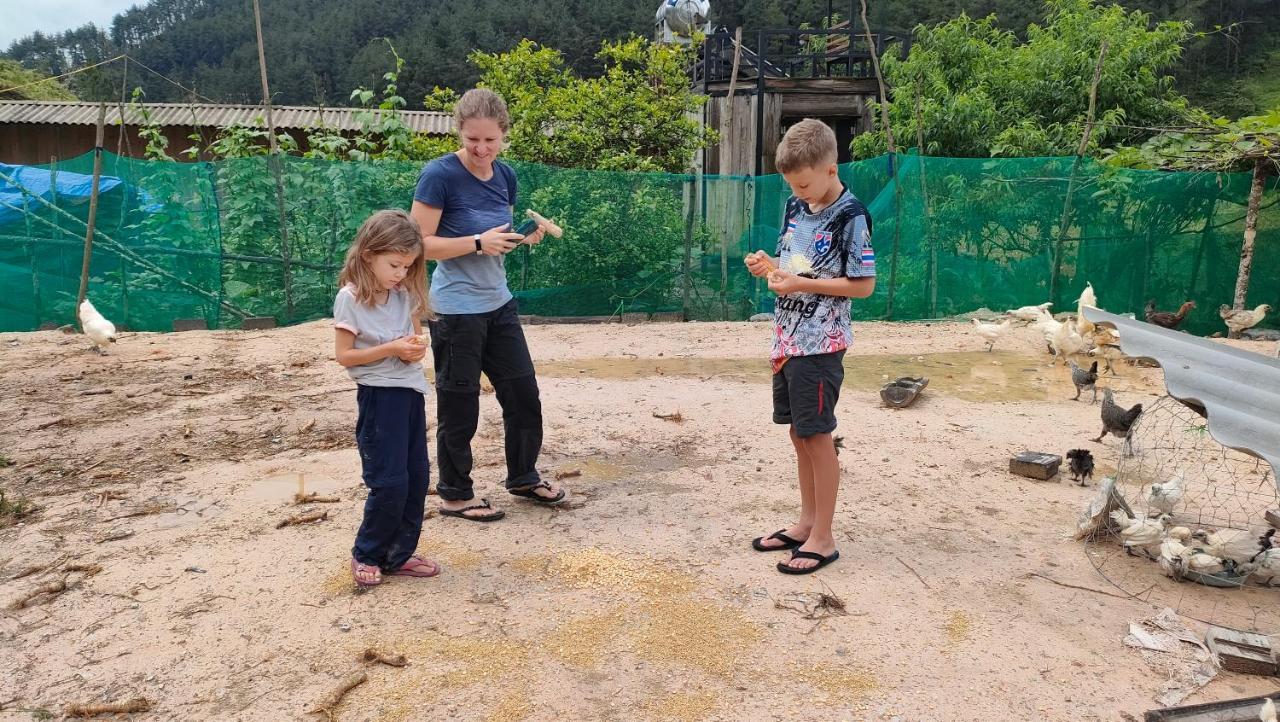 Indigenous Homestay- Trek- Food- Bus