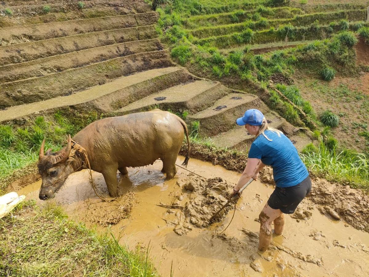 Indigenous Homestay- Trek- Food- Bus