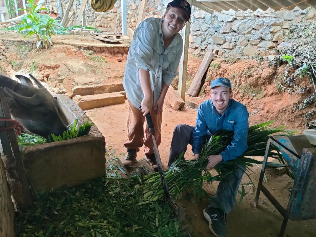 Indigenous Homestay- Trek- Food- Bus * Mu Cang Chai