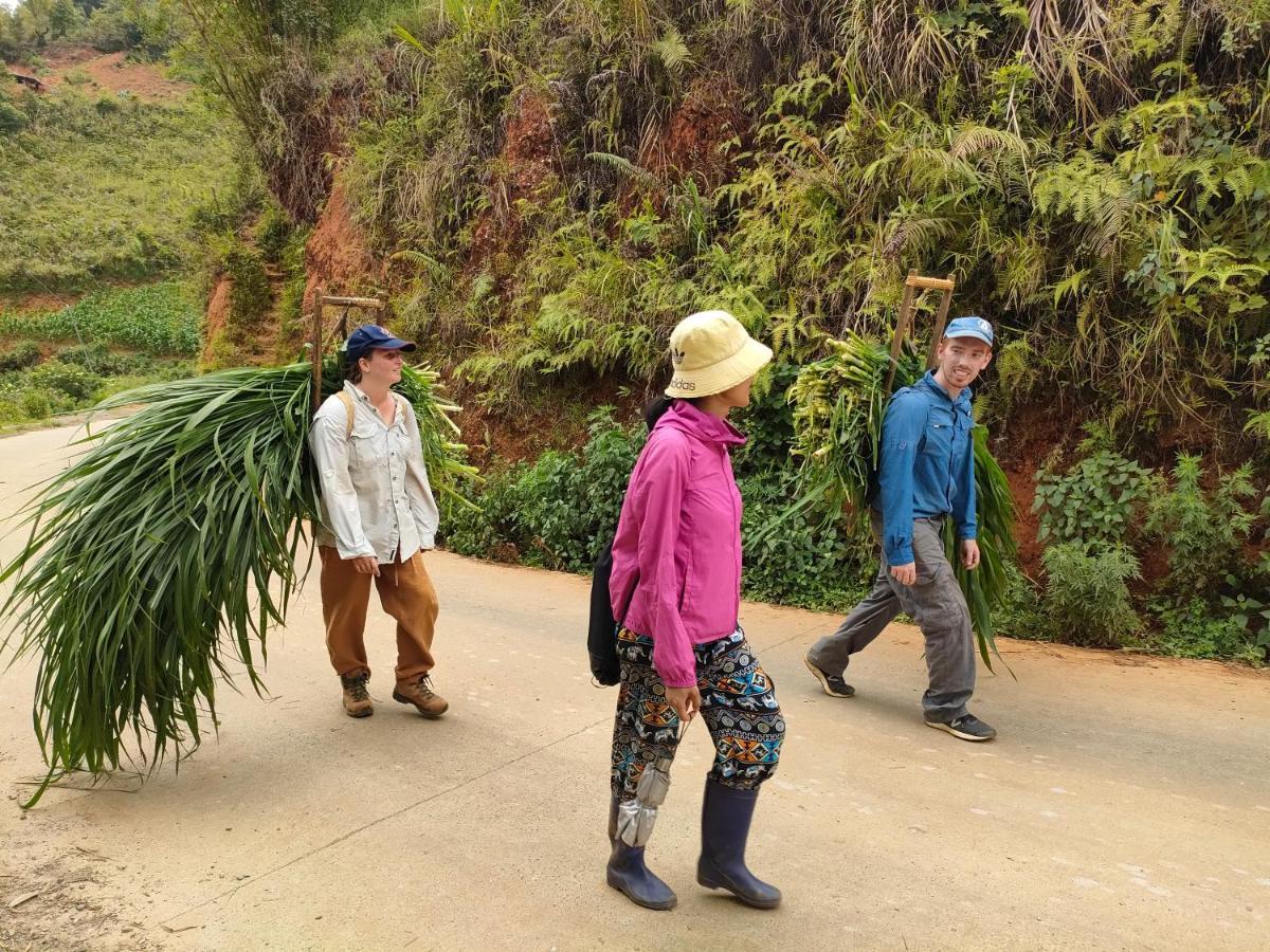 Indigenous Homestay- Trek- Food- Bus Mu Cang Chai