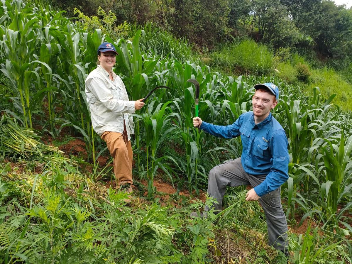 Homestay Indigenous Homestay- Trek- Food- Bus