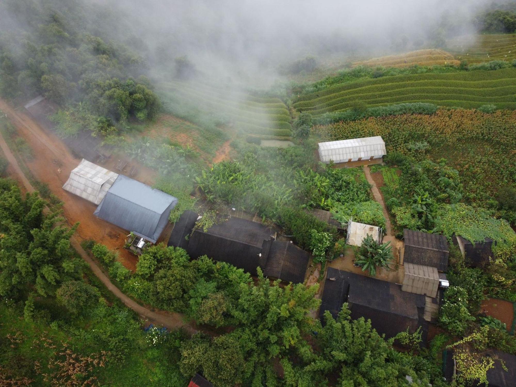 Homestay Indigenous Homestay- Trek- Food- Bus Mu Cang Chai