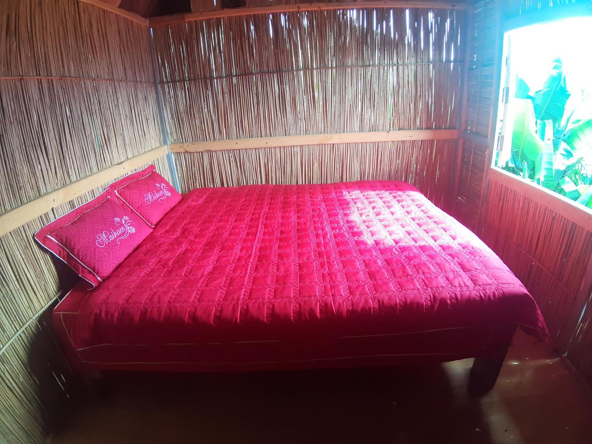 Indigenous Homestay- Trek- Food- Bus Homestay