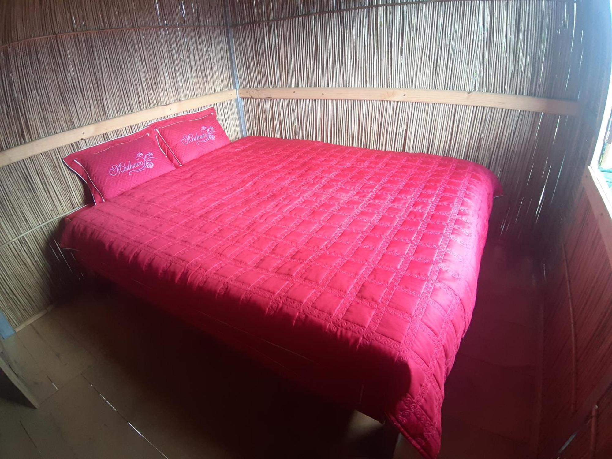 Indigenous Homestay- Trek- Food- Bus