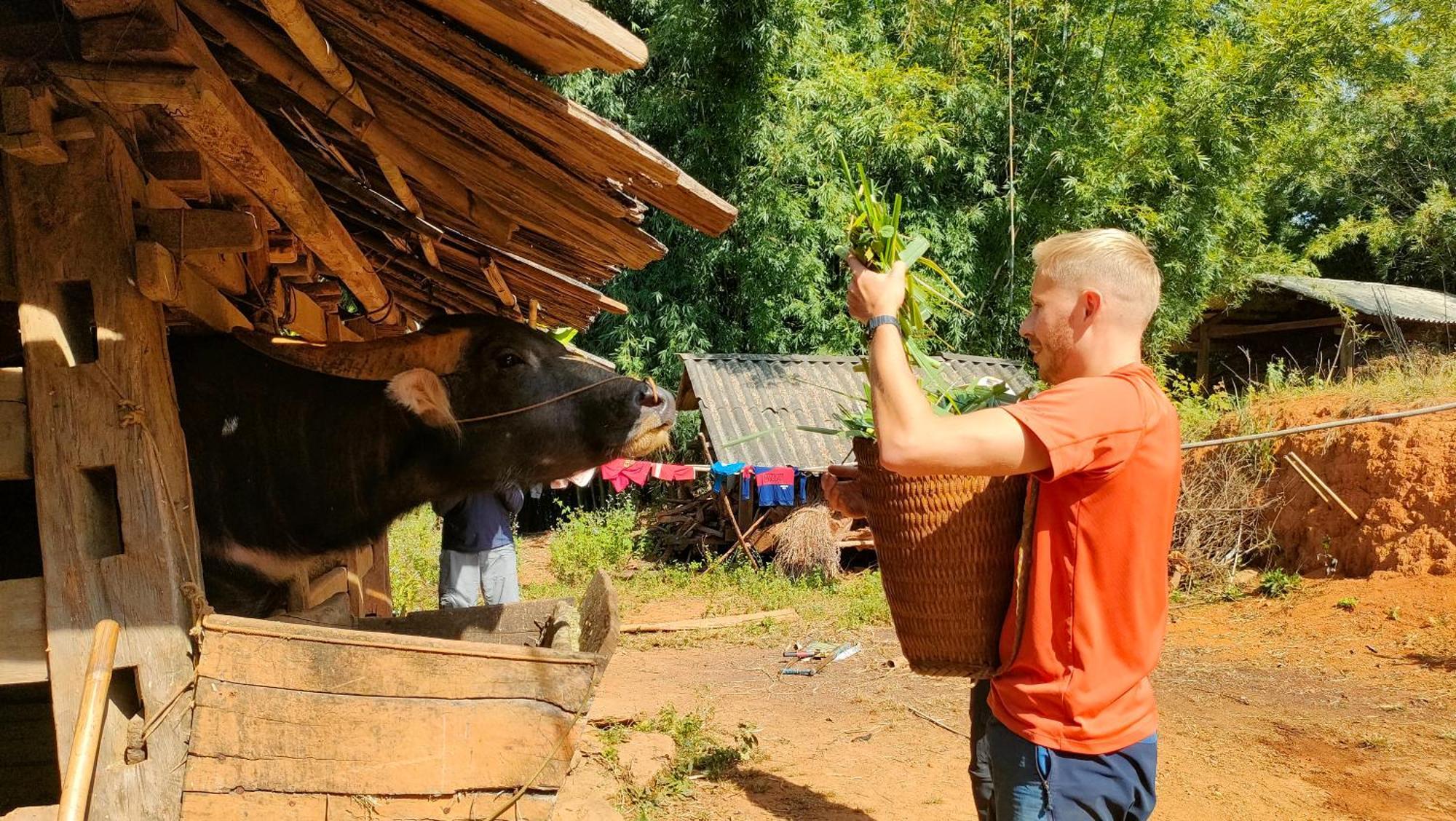 Indigenous Homestay- Trek- Food- Bus Mu Cang Chai