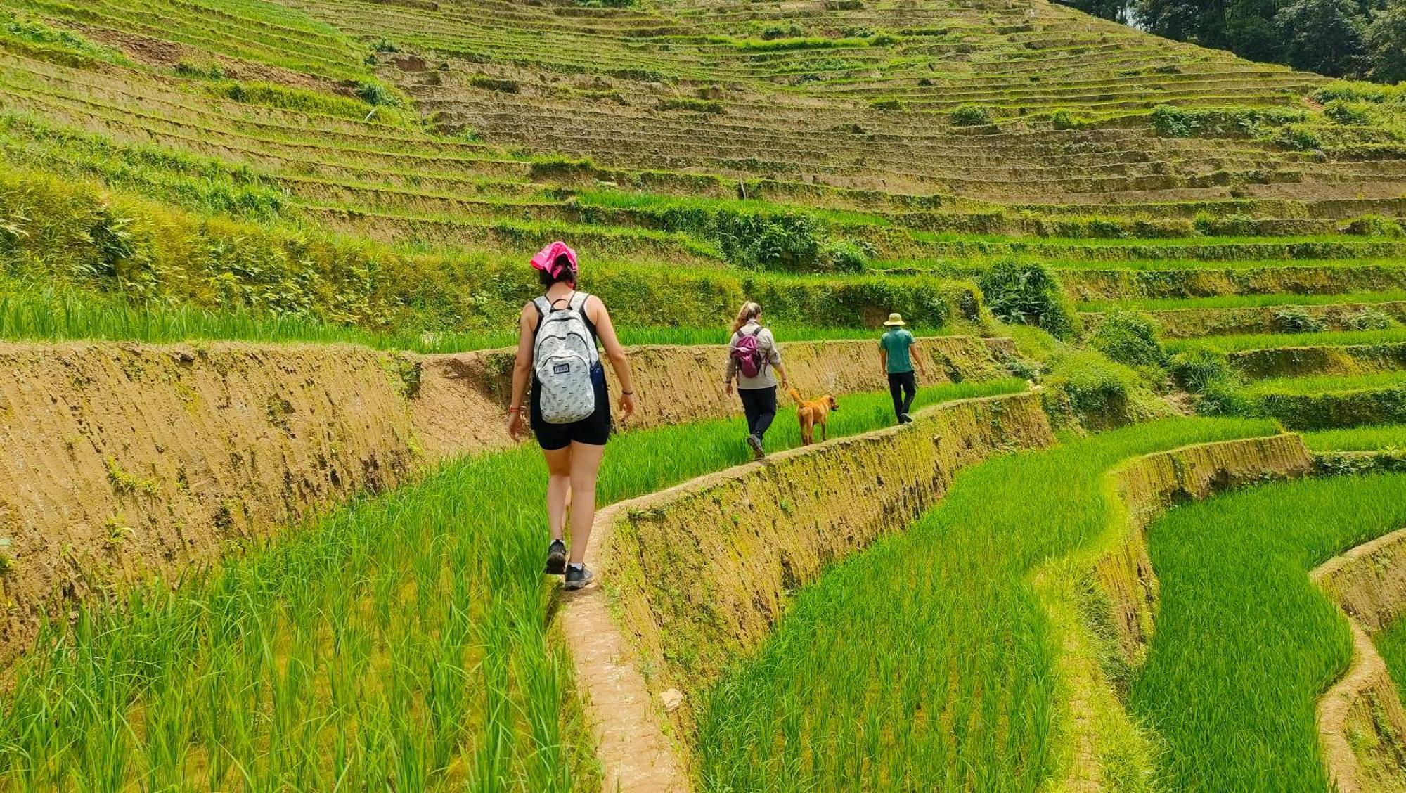 Indigenous Homestay- Trek- Food- Bus * Mu Cang Chai